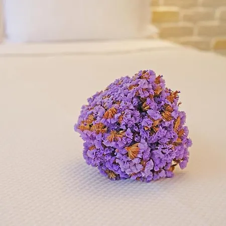 Evreka Butik 2* Tenedos