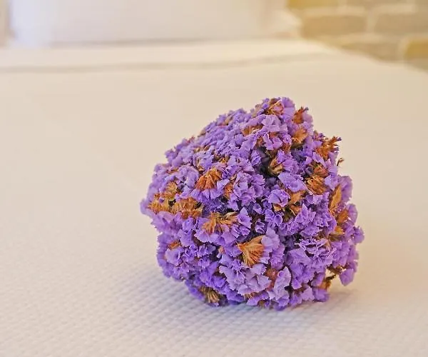 Evreka Butik 2* בוזקאדה